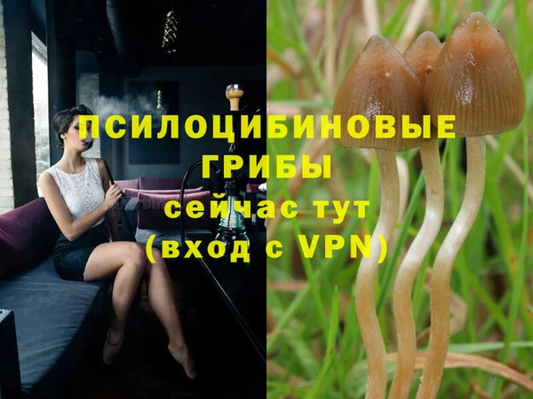 твердый Беломорск