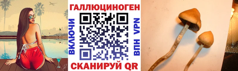 Псилоцибиновые грибы мухоморы  Жиздра 