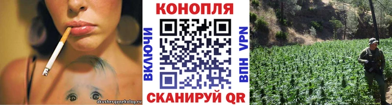 Каннабис MAZAR  Жиздра 